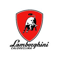 Ремонт котлов Lamborgini 